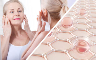 Workshop Trattamento Reticulus